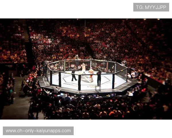 UFC战队加强地面技术衔接，控制力明显提升